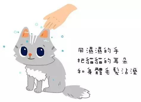 猫咪好活泼怎么办,猫咪好热用嘴呼吸