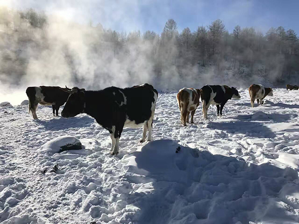 越野人肖晗:身体和灵魂同在路上