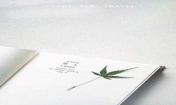 广东高考前20名文理学霸,2019年广东高考学霸