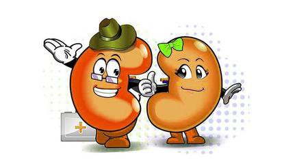 食疗方法降肌酐,2种方法简单粗暴让肌酐轻松下降