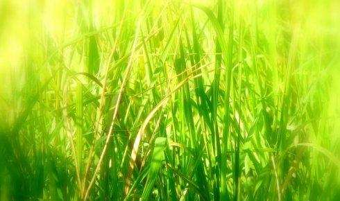 2019高考广东省前50名学霸,广东一学生查高考成绩崩溃