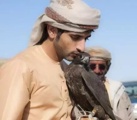 沙特最帅王子哈曼丹,阿联酋王子哈曼丹照片