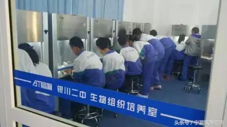 厉害了银川二中,银川二中在全国排名