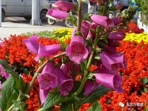 车到山前必有草,车到山前必有路山前山后都有