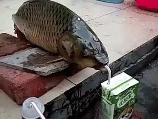 花式耍足球女孩,怎么玩花式足球