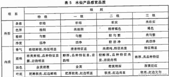 老杨说茶完整版视频,老杨说茶112期