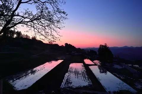 SASAYURI让你从此爱上（日本的田舍）