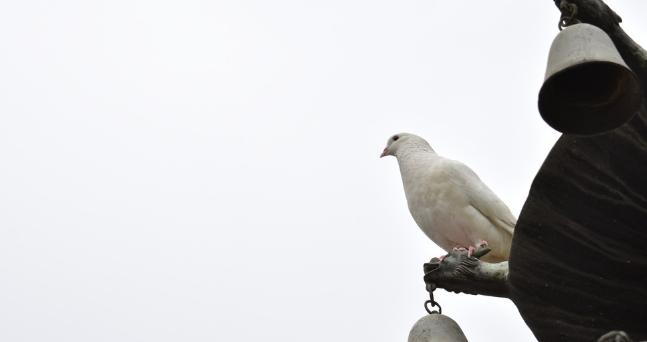 养殖最赚钱最好养的动物,1万元养殖什么动物好