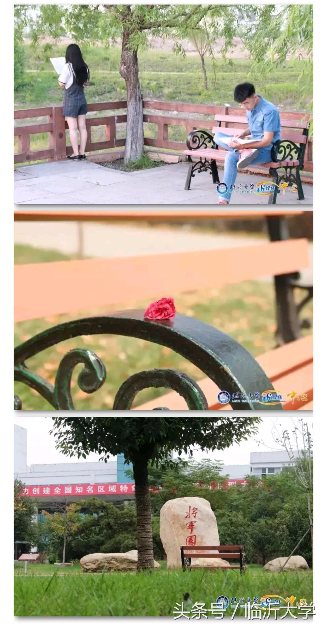 你为什么选择临沂大学,报临沂大学是很好的选择