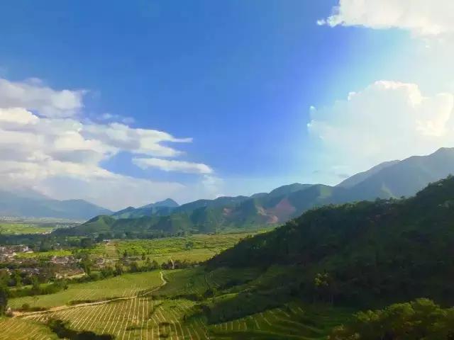 天天吃油，没听过“品油师”？这位北大博士告诉你