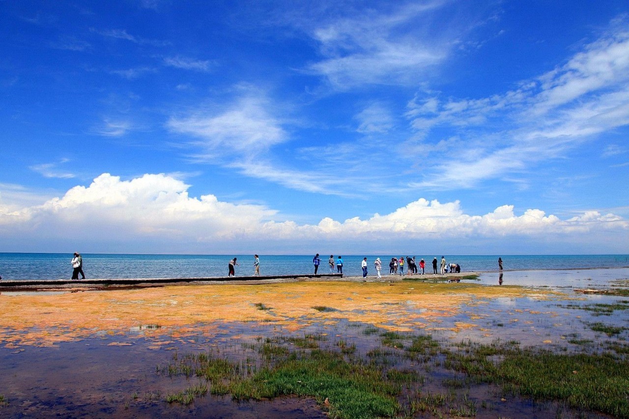 环青海湖大环线自驾游全攻略,青海湖环湖自驾哪里离青海湖最近