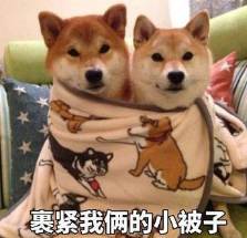 阿拉上海人搞笑视频,阿拉最新搞笑视频