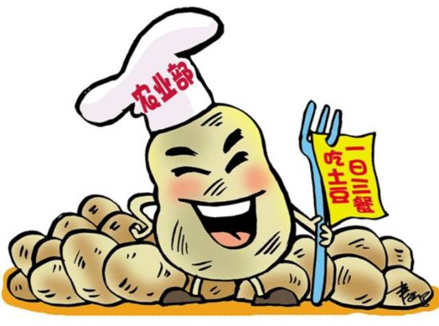 国家推进马铃薯主粮化影响,中国农业经历了几次主粮改革