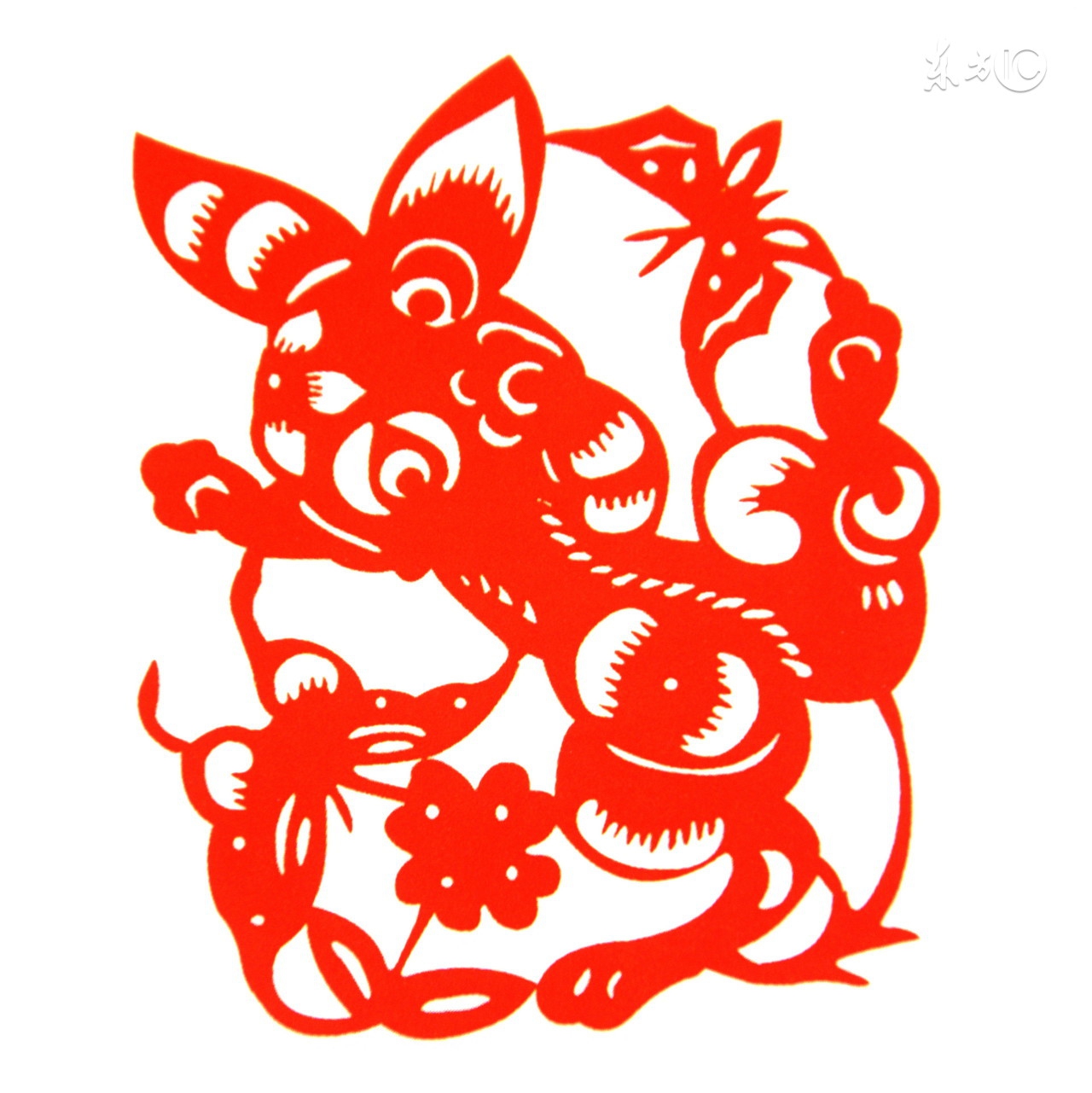 属兔的白羊座女生,属兔的白羊座最惨