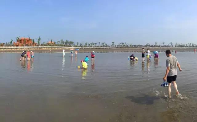 我要上月球视频,我要上月球粤语