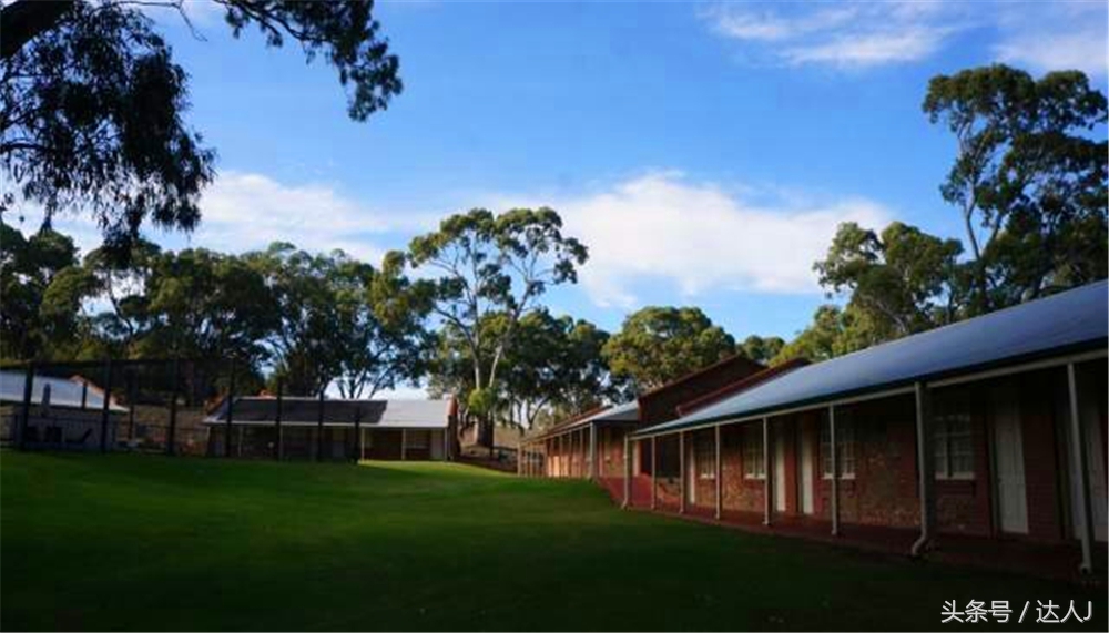 澳洲阿德莱德vs悉尼fc,阿德莱德对澳洲悉尼