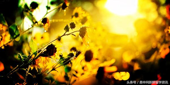 英国实习机会,在英国留学期间怎么找实习工作