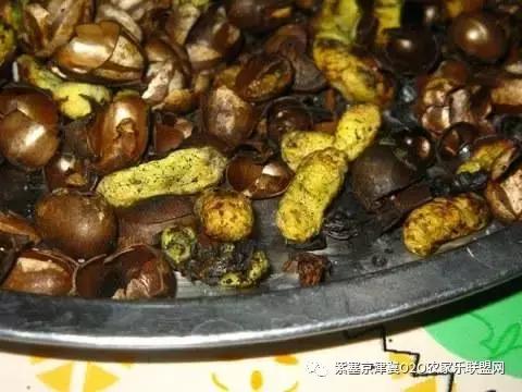 今年夏天，承德有种很小的动物，此神兽攻击力极强摸一下，神魂颠倒，还能吃？而且价格不菲！