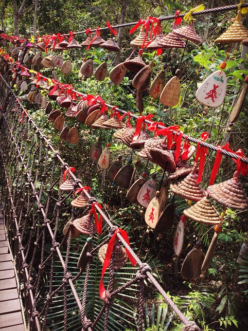 三亚呀诺达半天能玩完么,三亚旅游哪里吃海鲜最便宜