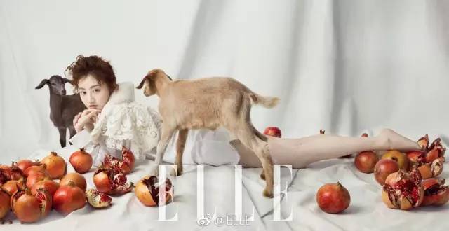 景甜活动照太时尚了美到不行,景甜在娱乐圈的长相