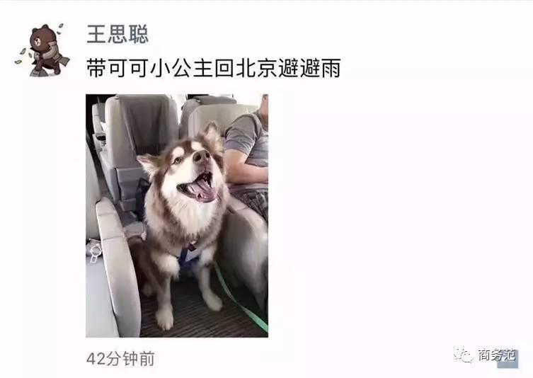 王思聪送王可可视频,王可可怎么遇到王思聪的