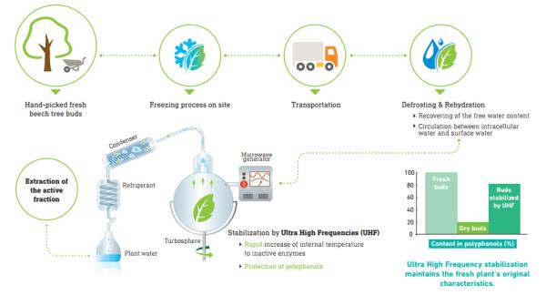 赫莲娜绿瓶,赫莲娜小绿瓶怎样辨真假