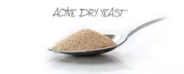 面包的酵种知识,面包的人生哲理