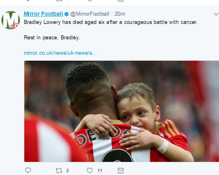 小布拉德利视频,小布拉德利最后的话