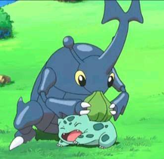 宠物小精灵小智手中最强10只精灵,宠物小精灵之精灵培育