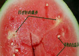 金沙河挂面有冒牌的吗,金沙河挂面有添加剂吗