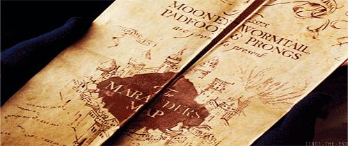 哈利波特粉丝最讨厌的人,哈利波特的真爱粉比黑粉还可怕