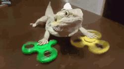 编辑部指尖陀螺挑战赛，她们到底能坚持几秒？