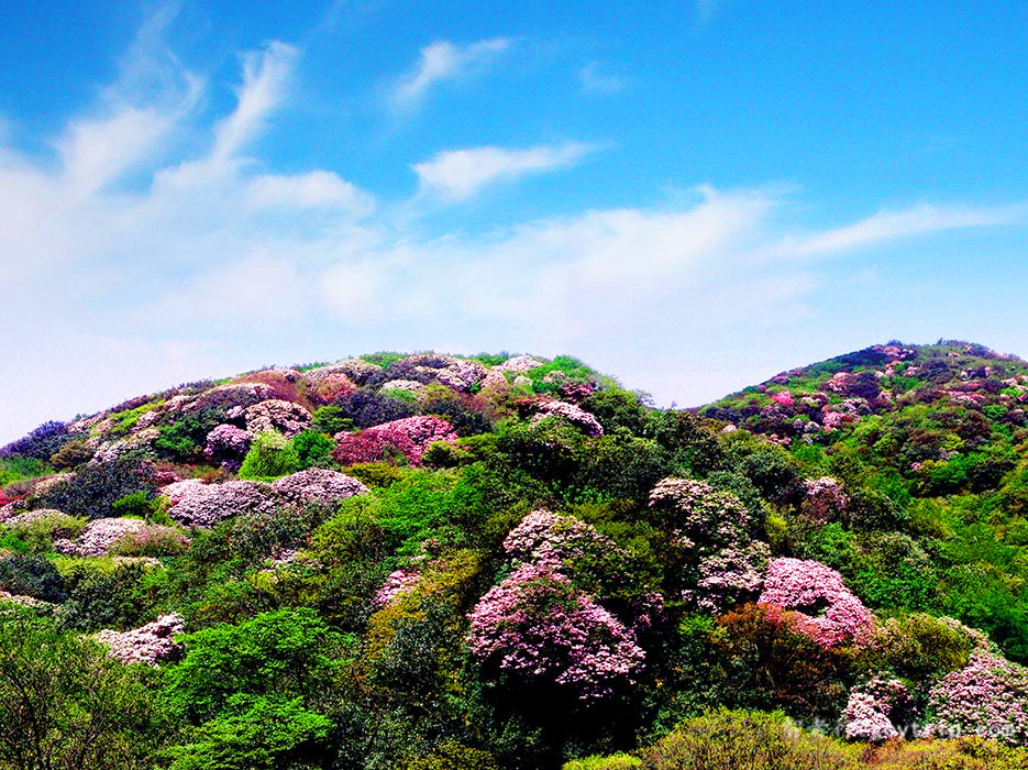 重庆各区必去的景点推荐,重庆的景点必游排名