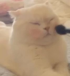 新手画眼线适合哪一种产品,眼线画不好的人