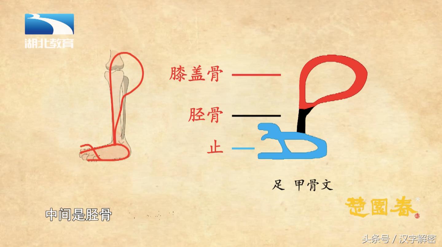 姹夊瓧鍗氬ぇ绮炬繁瑙ｅ瘑,姹夊瓧鍗氬ぇ绮炬繁璋滃簳