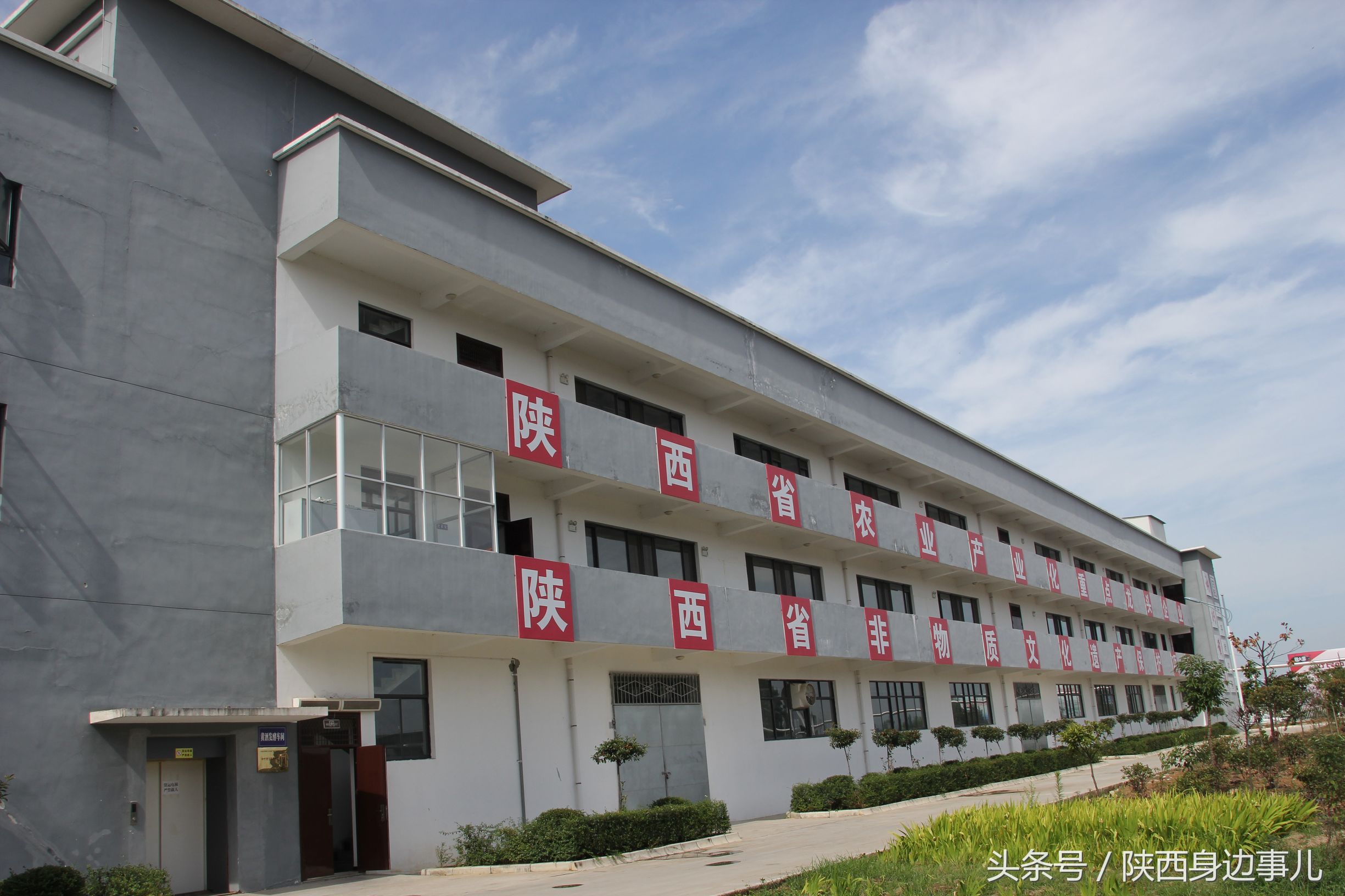 洋县秦洋长生酒业谢村黄酒,洋县秦洋长生酒业抖音号