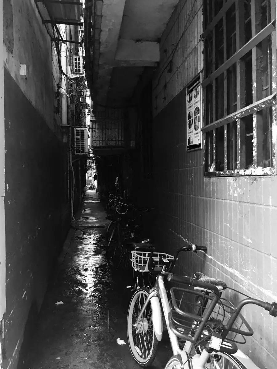 深圳最大的城中村白石洲村,深圳最大城中村之一的白石洲