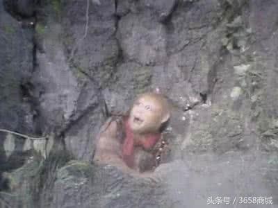 这里热吗英语,这个夏天热吗