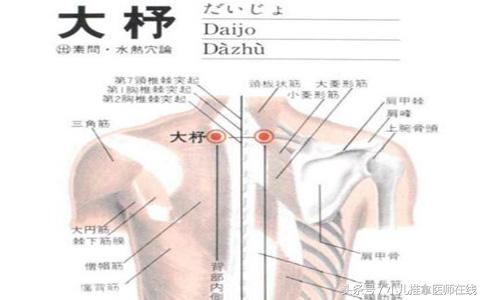 颈椎病三伏贴贴哪几个穴位,膝盖疼贴三伏贴贴哪个穴位最好