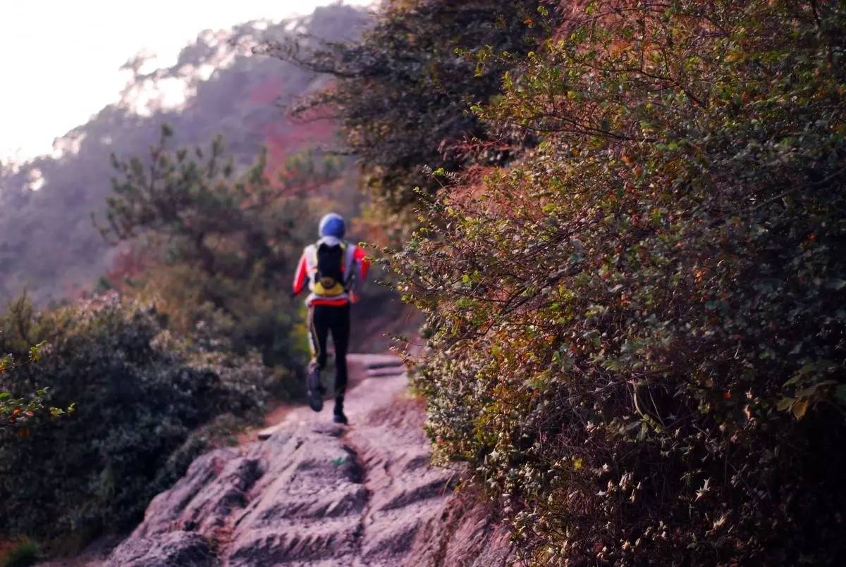 跑马拉松只要交了钱就可以跑吗,跑马拉松需要匀速吗