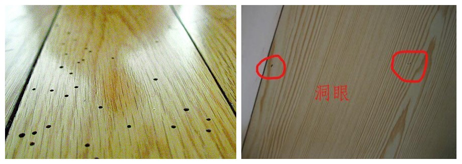 木地板生虫对人有什么危害,木地板生虫养猫家庭怎么办