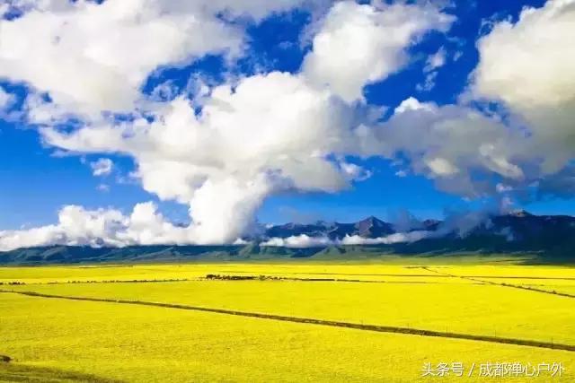 甘南年宝玉则景区,甘肃宝玉则旅游攻略