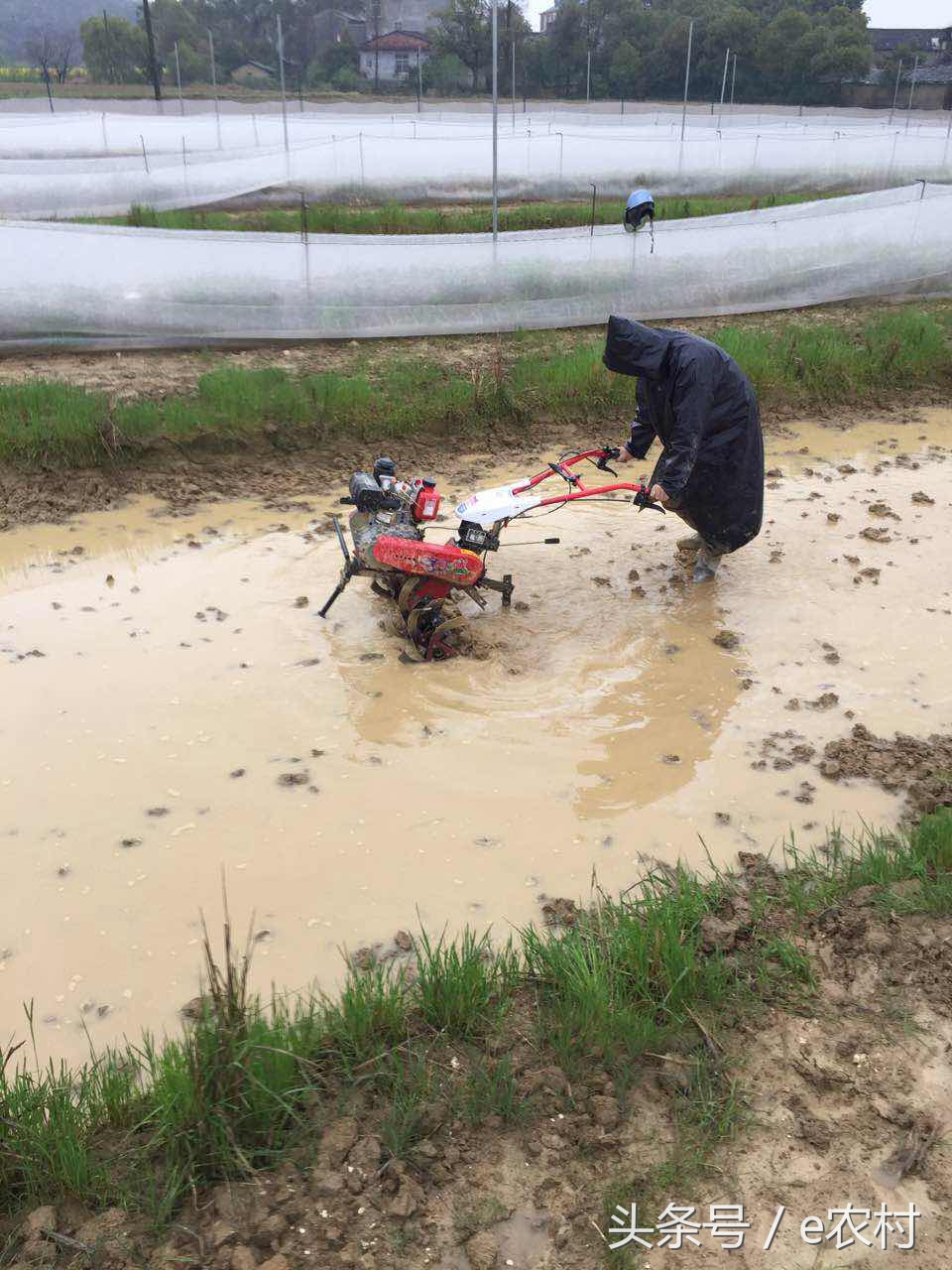 致富经养石蛙近期视频,cctv7致富经2016