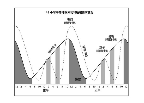 c罗睡眠,c罗的多阶段睡眠法