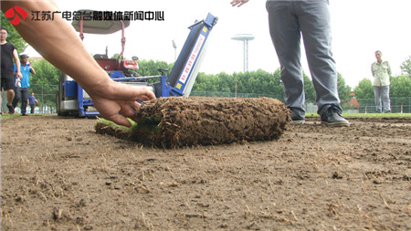 南京奥体中心是专业球场吗,南京奥体中心体育场为啥横开