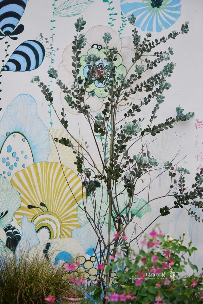 成都玛莉亚色彩花园,成都玛莉亚色彩花园电话