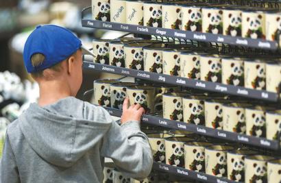 柏林动物园大熊猫娇庆和梦梦图片,旅德大熊猫娇庆和梦梦