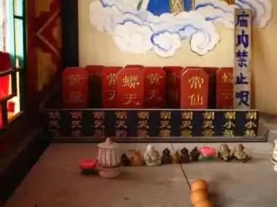 东北保家仙传说真实故事,揭秘东北保家仙的故事