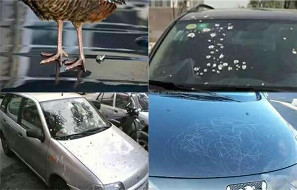 汽车镀晶到底有什么变化,汽车镀晶有什么好处有什么坏处