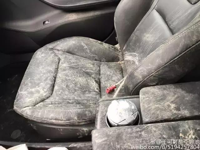 王思聪的狗坐私人飞机这和10多万的狗链比算什么？